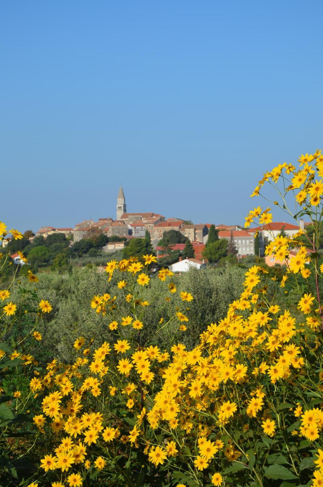 Villa Olivetta - Istrische Villa mit Meerblick nahe Porec Barat  Exterior foto