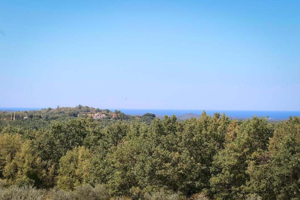Villa Olivetta - Istrische Villa mit Meerblick nahe Porec Barat  Exterior foto